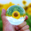 id:shikou1980