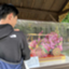 id:shin_papa_0902