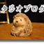 id:shinseikanstudio