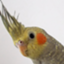 shiojis_note