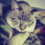 id:shixxxykun
