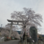 id:shohgetsu5819