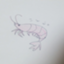 id:shrimpinthesea