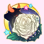 id:sirobara0511