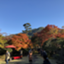 id:skinoshitan