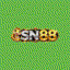 SN88
