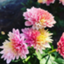id:sohtsuki