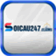 soicau247claims