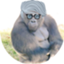 id:son-fudo3