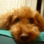 id:sourikyousei