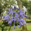 id:southafrica-ed-record