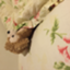 id:spr0ut