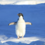 id:sspenguin