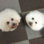 id:ssrindou