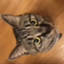 id:starjet7