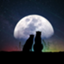 id:starrynightchannel