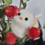 id:strawberry-mint