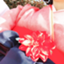 id:su-zi-zu