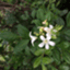 suihu-blog
