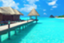 id:suikapapa
