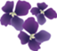 id:sumire2016