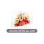 sunwin2026sacom