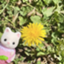 id:surume_soumen