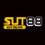 sut88vin1