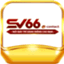 sv66contact