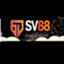 sv88cam