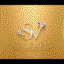 Sv jewels 