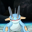 id:swampert09