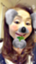 id:sylphy3810