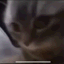 t0b