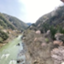 id:tadano_wotakudayo