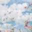 id:tadanone