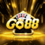 taigo88aabio