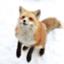 id:taka-shi9981