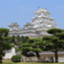 id:takamebaru1024