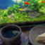 id:takashyt