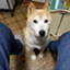 id:takawata4121