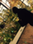 id:takeya01