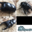 id:takunekotan