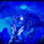 id:takuoh