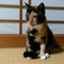 id:takuya3689