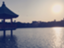 id:tamatamatama1984