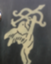 id:tanacamel