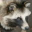 id:tanukiti1987