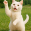 tasupi_tksm