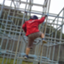 id:tenmaru666